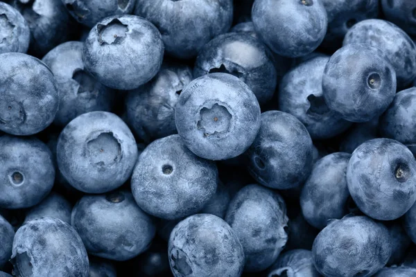 Tasty Fresh Ripe Blueberries Background Top View — Stock Fotó