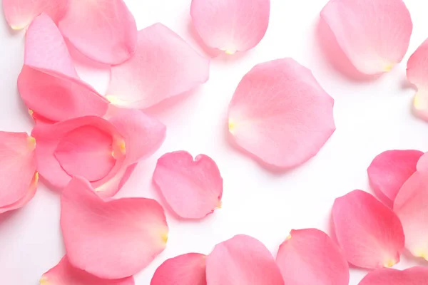 新鮮なピンクのバラの花びらが白い背景に トップビュー — ストック写真
