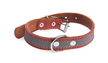 Brown leather dog collar isolated on white