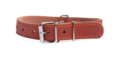 Brown leather dog collar isolated on white