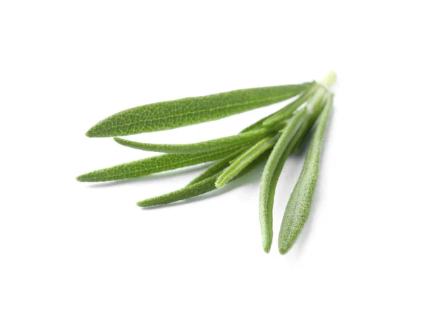 Aromatic Green Rosemary Sprig Isolated White Fresh Herb — Zdjęcie stockowe