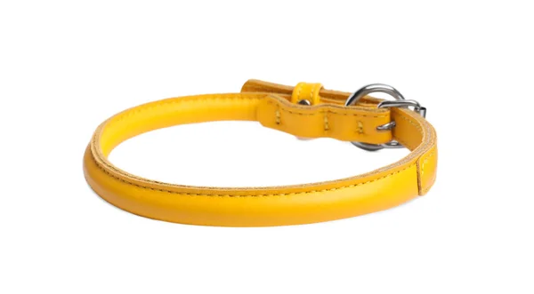 Yellow Leather Dog Collar Isolated White — Foto de Stock