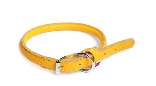 Yellow Leather Dog Collar Isolated White — Foto de Stock