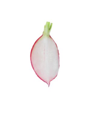 Slice of fresh ripe radish isolated on white, top view