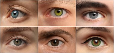 Collage with photos of people with beautiful eyes of different colors. Banner design