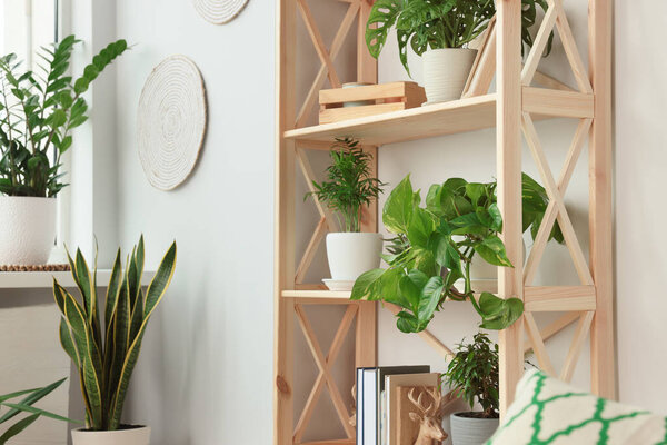 Wooden shelving unit with beautiful house plants indoors. Home design idea