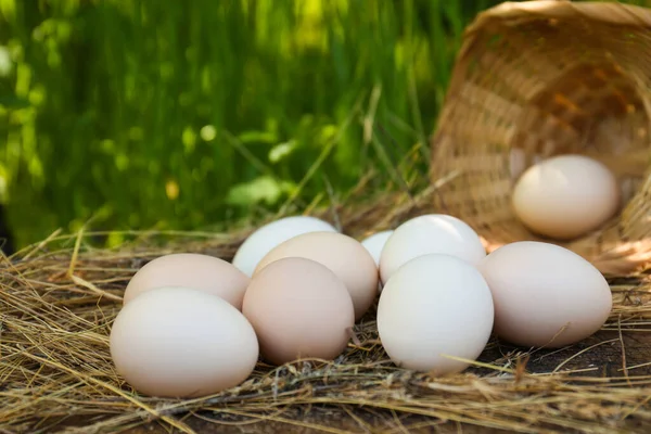 Frische Rohe Eier Und Stroh Auf Holzoberfläche Freien Nahaufnahme — Stockfoto