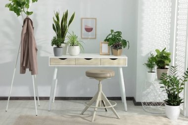 Stylish room interior with different beautiful house plants and white table