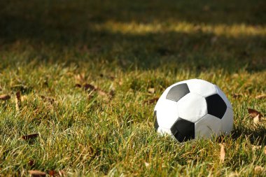 Soccer ball on green grass outdoors, space for text