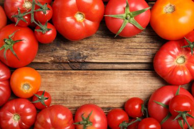 Frame of different ripe tomatoes on wooden table, flat lay. Space for text
