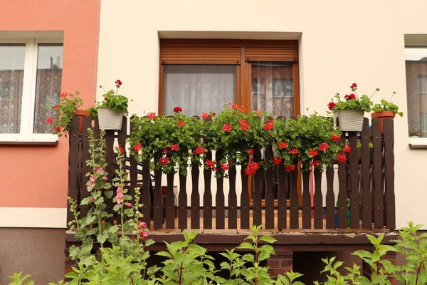 Wooden Balcony Decorated Beautiful Red Flowers — 스톡 사진