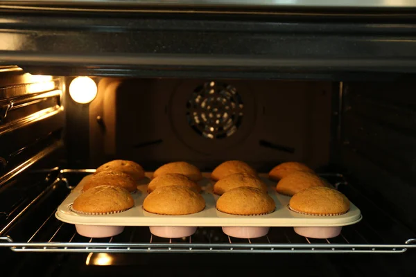 Baking pan with cupcakes in modern oven