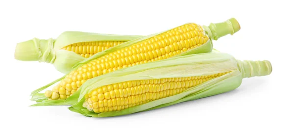 Tasty Fresh Corn Cobs Isolated White — Fotografia de Stock