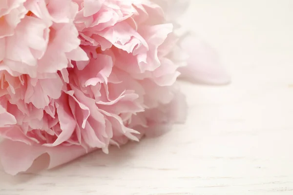 Beautiful blooming pink peony on white wooden table, closeup