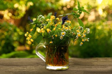Composition with different fresh herbs in cup of tea on wooden table outdoors