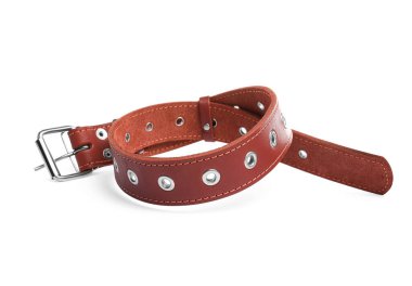 Brown leather dog collar isolated on white