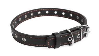 Black leather dog collar isolated on white