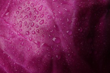Fresh ripe red cabbage with water drops as background, closeup