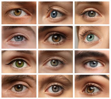 Collage with photos of people with beautiful eyes of different colors