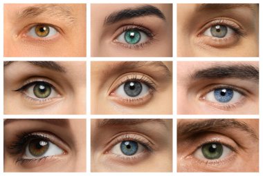 Collage with photos of people with beautiful eyes of different colors