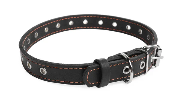 Black Leather Dog Collar Isolated White — ストック写真