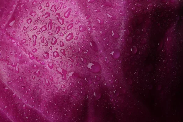 Fresh ripe red cabbage with water drops as background, closeup