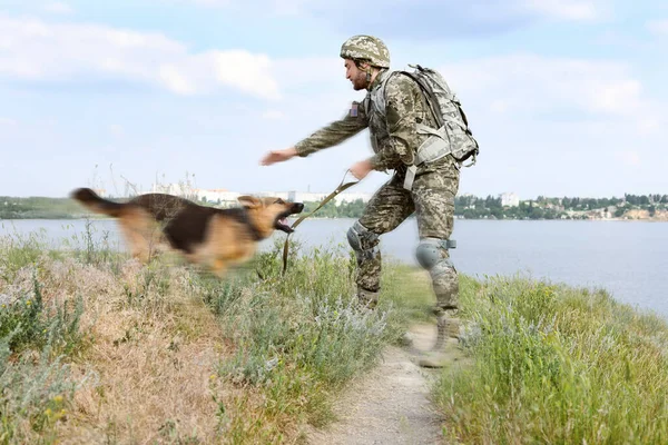 ジャーマン シェパード犬を屋外で軍服の男 — ストック写真