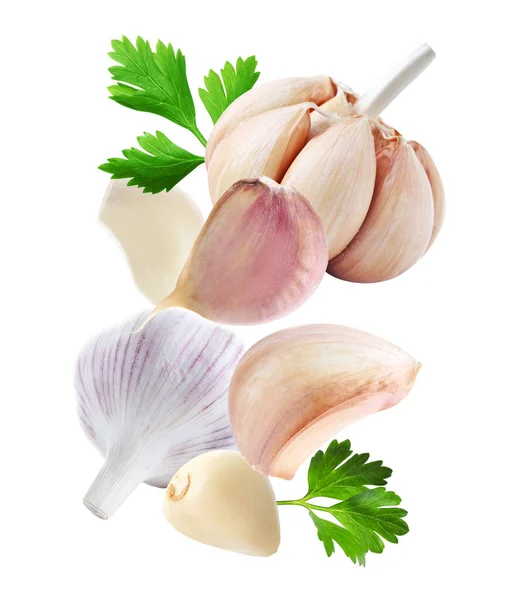 Aromatic Garlic Parsley Flying White Background —  Fotos de Stock