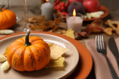 Güzel bir sonbahar yeri dekorasyonu ve masa, yakın plan. Metin için boşluk