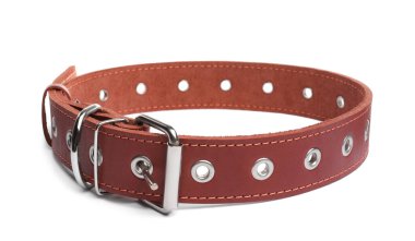 Brown leather dog collar isolated on white