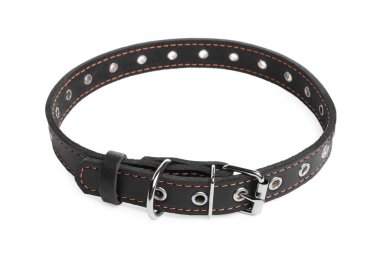 Black leather dog collar isolated on white