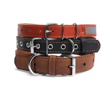 Different leather dog collars on white background