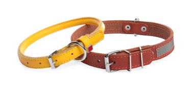 Different leather dog collars on white background