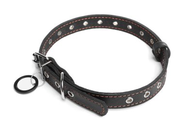 Black leather dog collar with tag isolated on white
