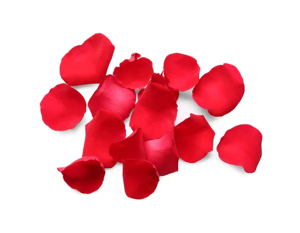 Many Red Rose Petals White Background Top View — Stock Photo, Image