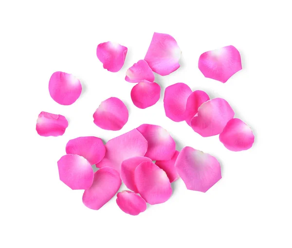 Many Pink Rose Petals White Background Top View — Foto Stock