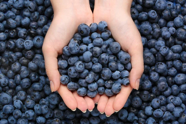 Woman Holding Heap Juicy Fresh Blueberries Top View — Stockfoto