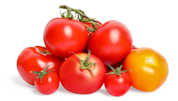 Many Different Ripe Tomatoes White Background — Zdjęcie stockowe