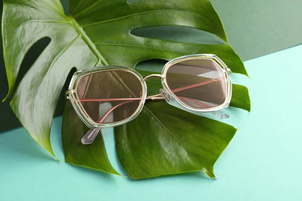 Elegantes Gafas Sol Hoja Tropical Sobre Fondo Color Primer Plano —  Fotos de Stock