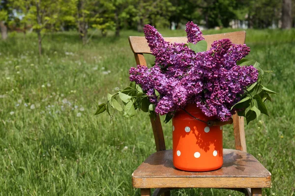 Beautiful Lilac Flowers Milk Can Outdoors Space Text — стоковое фото