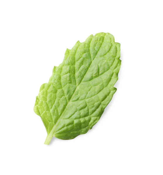 Aromatic Green Mint Leaf Isolated White Fresh Herb — 스톡 사진