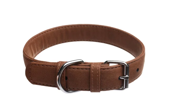 Brown Leather Dog Collar Isolated White — Stockfoto