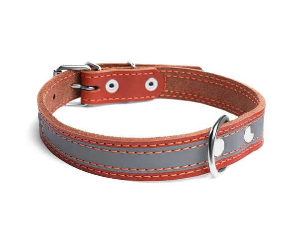 Brown Leather Dog Collar Isolated White — Foto de Stock