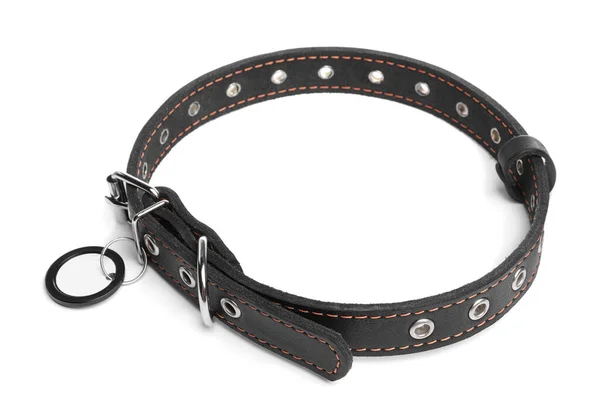 Black Leather Dog Collar Tag Isolated White — ストック写真