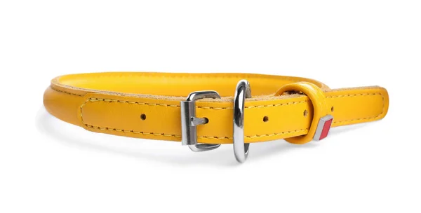 Yellow Leather Dog Collar Isolated White — Fotografia de Stock