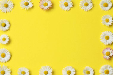 Frame of daisy flowers on yellow background, flat lay. Space for text