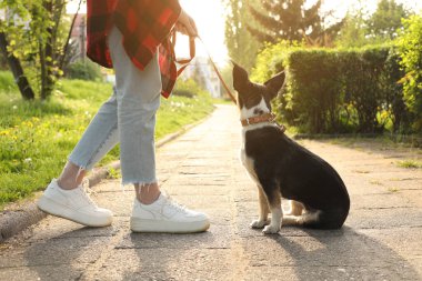 Parkta sevimli köpeği olan bir kadın, yakın plan.