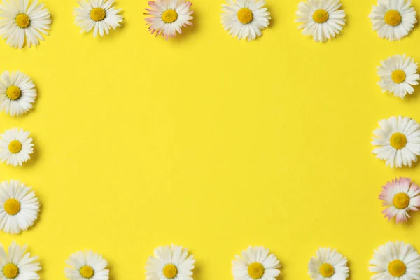 Frame Daisy Flowers Yellow Background Flat Lay Space Text — Foto de Stock