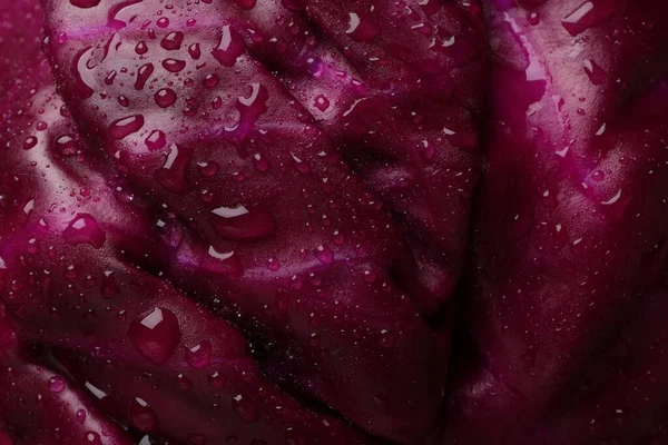 Fresh Ripe Red Cabbage Water Drops Background Closeup — Stock Fotó