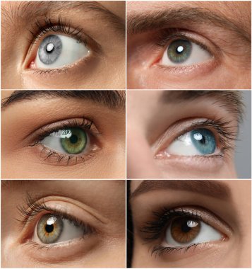 Collage with photos of people with beautiful eyes of different colors